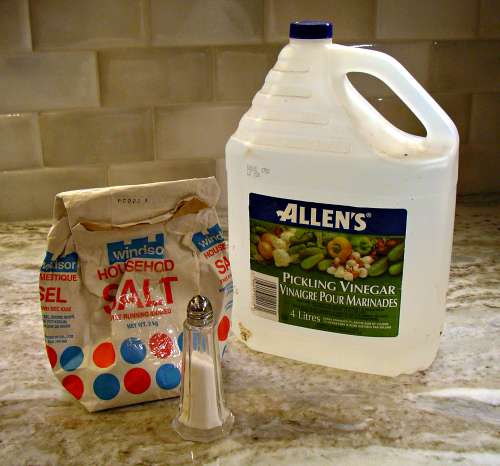 vinegar and salt for 7 Ways you can use to Wash/Clean Your jeans and preserve its value